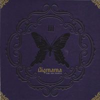 Big Mama - For The People
