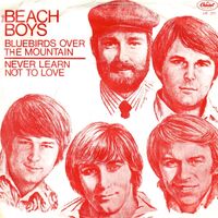 The Beach Boys - Bluebirds over the Mountain