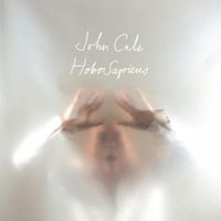 John Cale - HoboSapiens