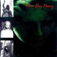 New Day Rising - Memoirs of Cynicism