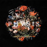 DayKoda - PHYSIS