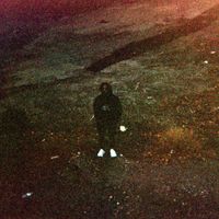 Lani Rose - To: Keep You From: Hurting Me