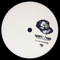 DJ Slyngshot - WORKSHOP 29
