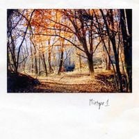 Ricky Eat Acid - Mixtape
