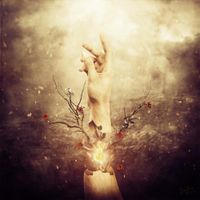 The Breathing Process - Samsara