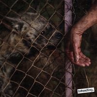 Beheading. - evisceration songs.