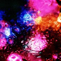 Chihei Hatakeyama - You&rsquo;re Still In It