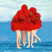 Strawberry Mountain - Technicolor Dada