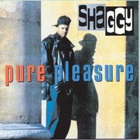 Shaggy - Pure Pleasure