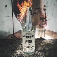 Joey Starr - Gare Au Jaguarr