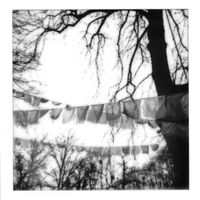 Nick Kozik - Violent Lives