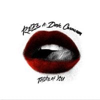 Rezz - Taste of You
