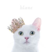 Aimer - BEST SELECTION "blanc"