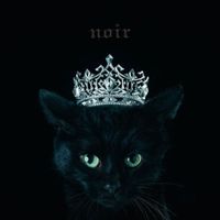 Aimer - BEST SELECTION "noir"