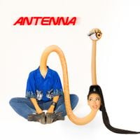 Dizzy Fae - Antenna