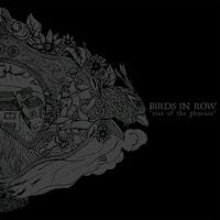Birds in Row - Rise of the Phoenix