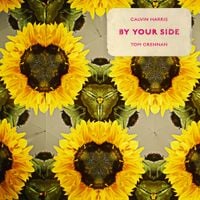 Calvin Harris - By Your Side