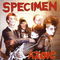 Specimen - Azoic