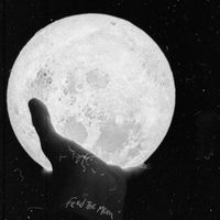 Yard Of Blondes - Feed The Moon