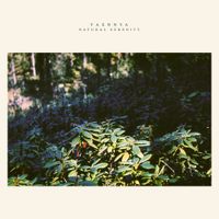 Taennya - natural serenity
