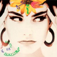 Lio - Des fleurs pour un cam&eacute;l&eacute;on