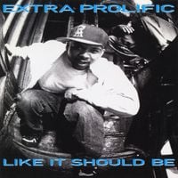 Extra Prolific - Like It Should Be