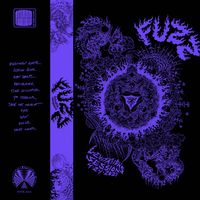 Fuzz - Levitation Sessions