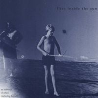 Flies Inside the Sun - An Audience of Others (Including Herself)