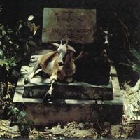 Spirits & Worm - Spirits & Worm