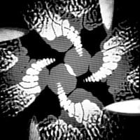Lightning Bug - Song of the Bell