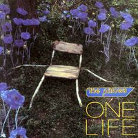 the pillows - ONE LIFE