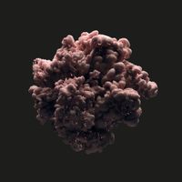 Jimi Jules - Ham the Monkey