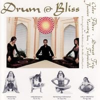 Various Artists - Drum & Bliss
