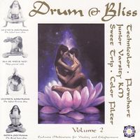 Various Artists - Drum & Bliss, Vol. 2