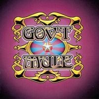 Gov't Mule - Live... With a Little Help from Our Friends