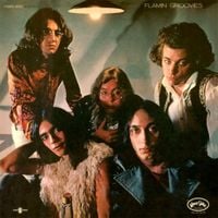 Flamin' Groovies - Flamingo