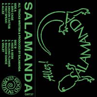 Salamanda - Allez!