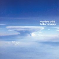 Voodoo Child - Baby Monkey