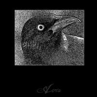 Aves - Demo