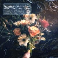 Drown This City - Colours We Won't Know