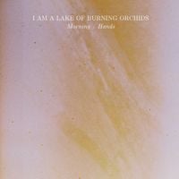 I Am A Lake Of Burning Orchids - Morning / Hands
