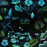 El B&uacute;ho - Cenotes