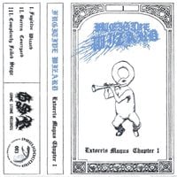 Fugitive Wizard - Extorris Magus Chapter I