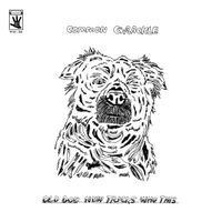 Common Grackle - Old Dog New Tricks Who This