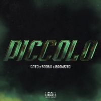Gato - Piccolo