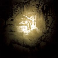 Polar Bear - Held on the Tips of Fingers