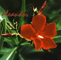 Oleander - Oleander