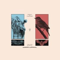 Ostraca / Flesh Born - Faces of The Moving Year