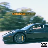 Larry June - Orange Print