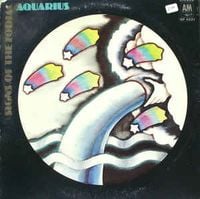 Signs of the Zodiac - Aquarius
